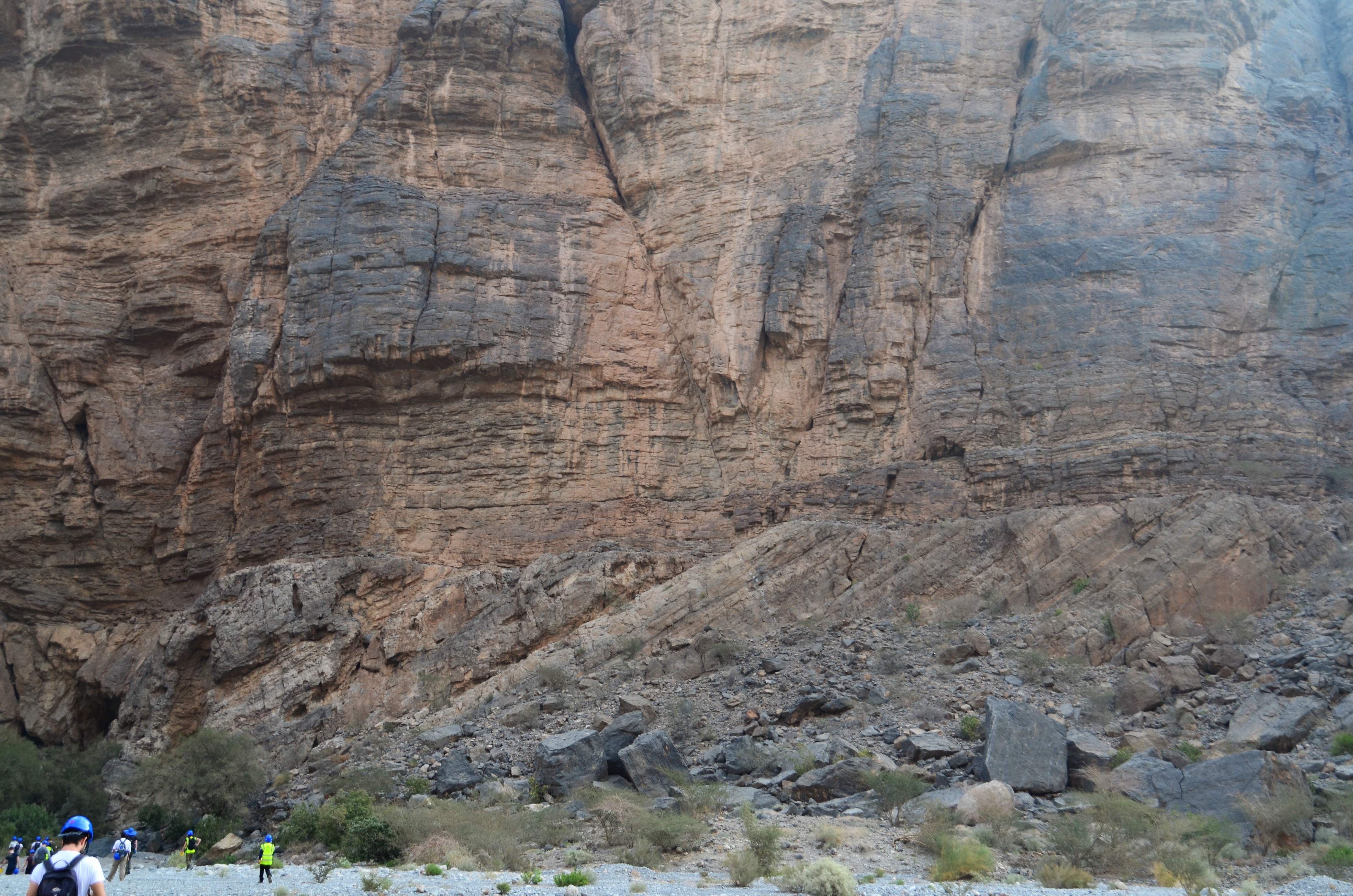 Oman field course