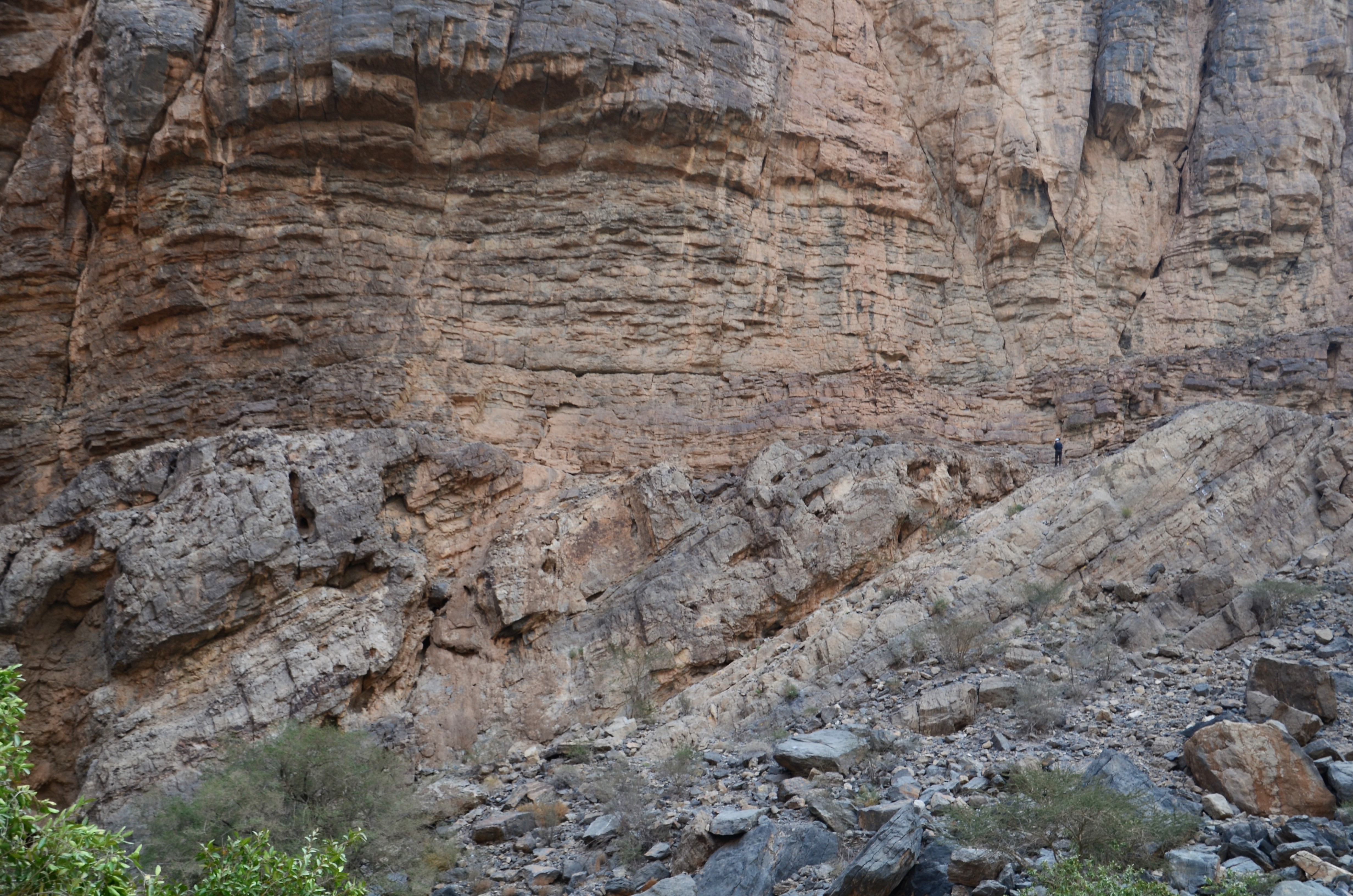 Oman field course