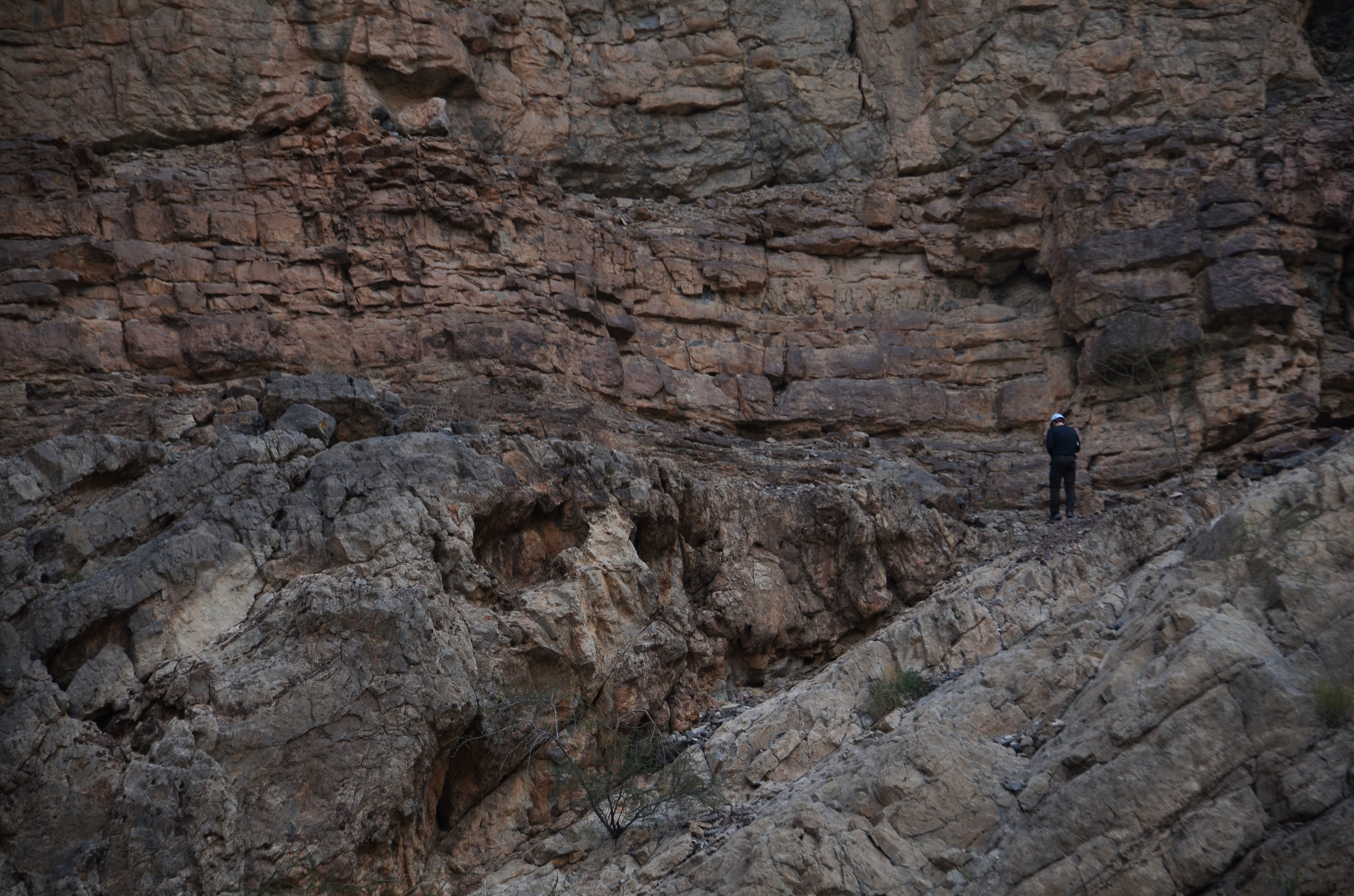 Oman field course