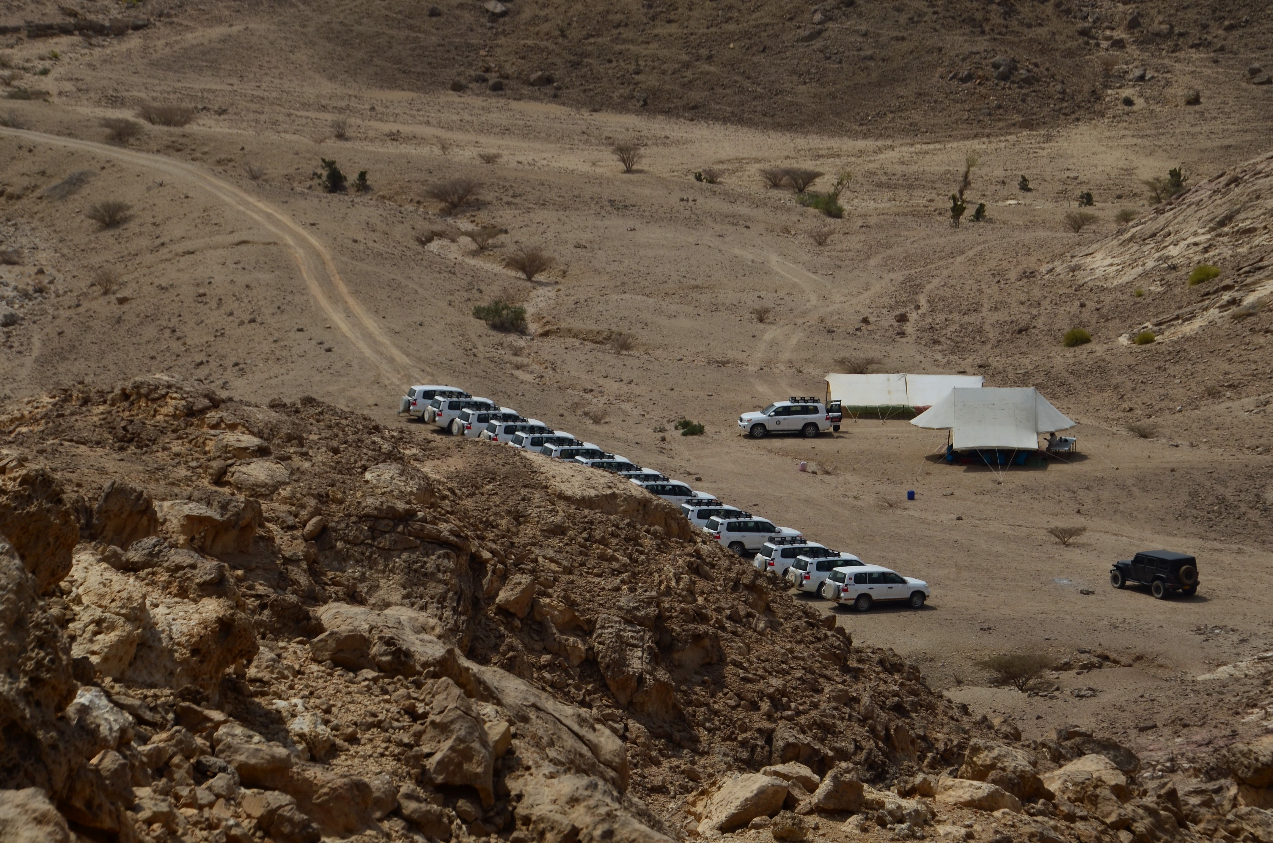 Oman field course