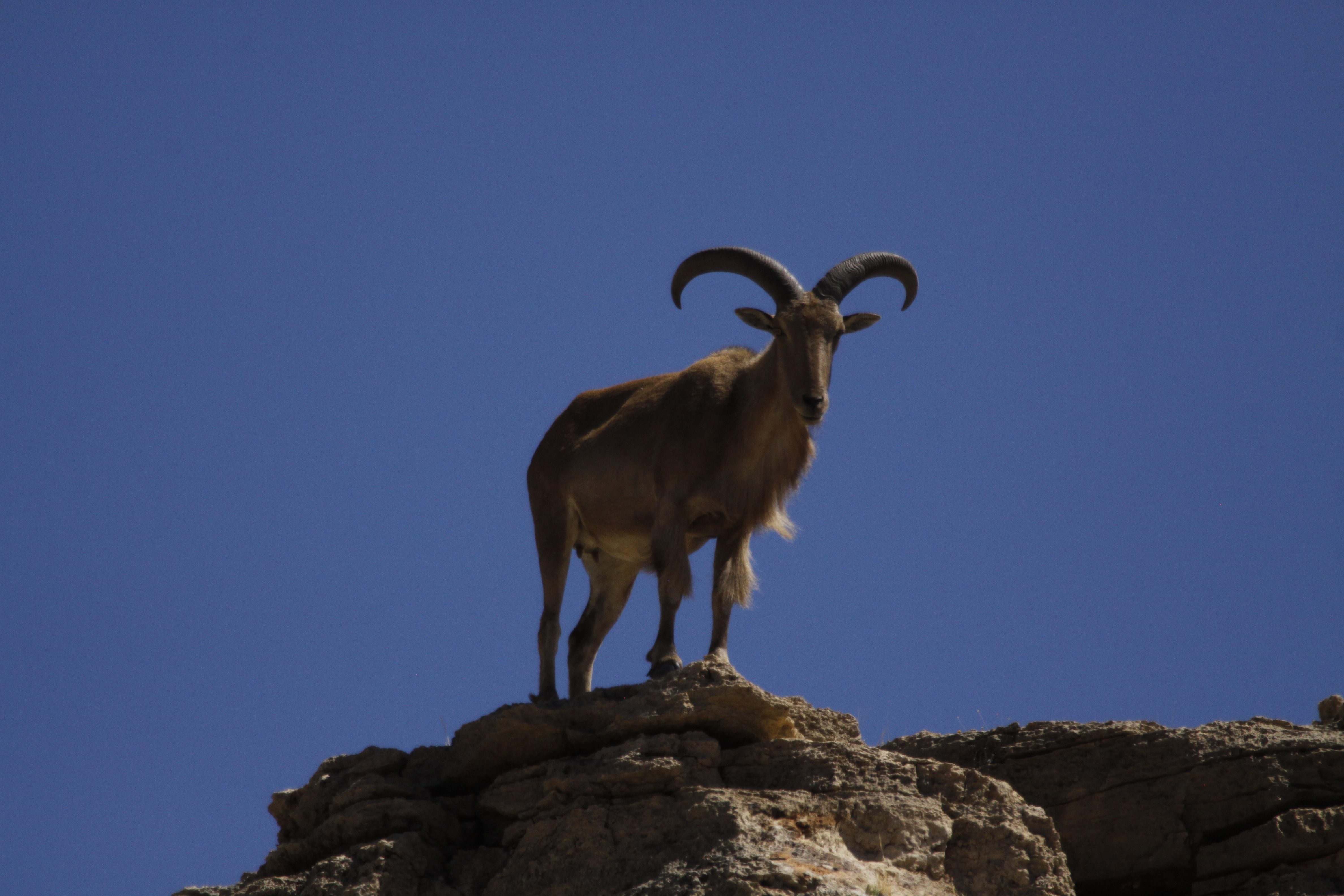 Permian Basin field course