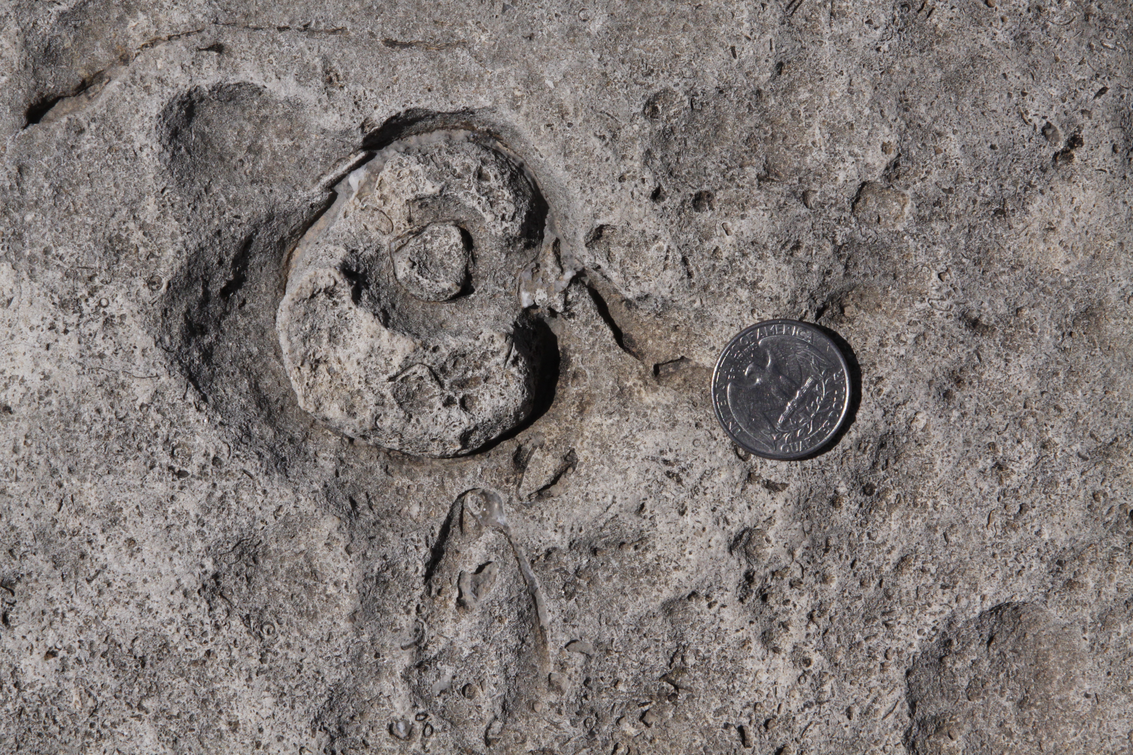 Permian Basin field course
