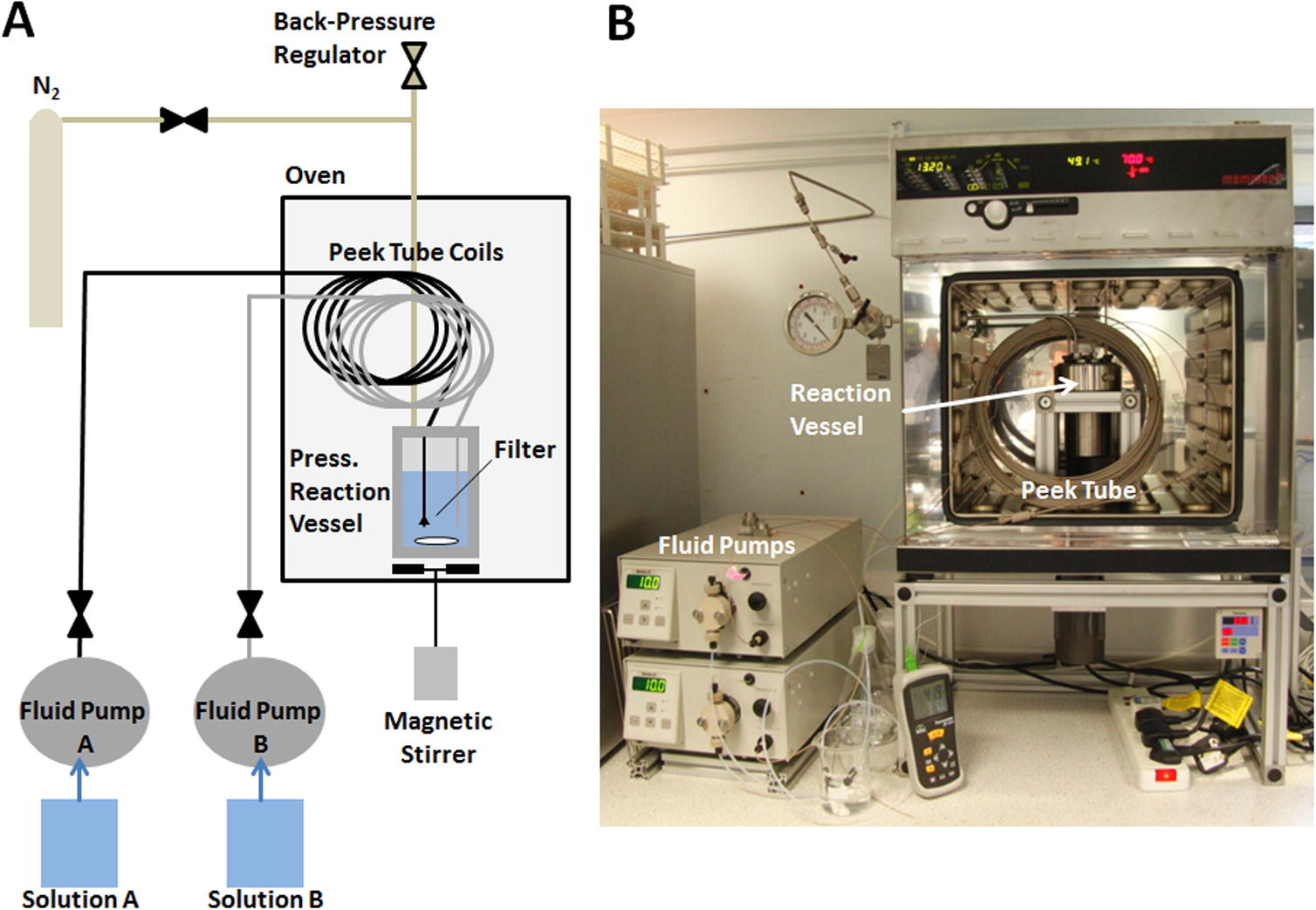Laboratory calibration of the calcium carbonate clumped isotope thermometer in the 25–250 C temperature range