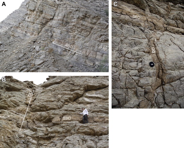 Interplay between depositional facies, diagenesis and early fractures in the Early Cretaceous Habshan Formation, Jebel Madar, Oman