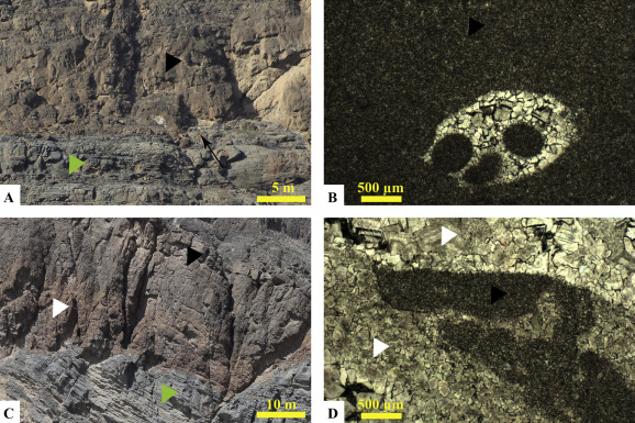 Exploring the geological features and processes that control the shape and internal fabrics of late diagenetic dolomite bodies (Lower Khuff equivalent–Central Oman Mountains)