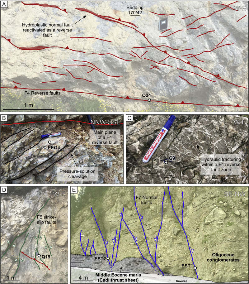 From hydroplastic to brittle deformation: controls on fluid flow in fold and thrust belts. Insights from the Lower Pedraforca thrust sheet (SE Pyrenees)