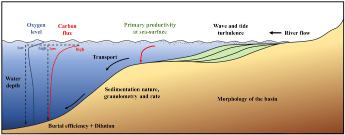 Predicting marine organic-rich deposits using forward stratigraphic modelling: The Jurassic Najmah source rock–Case study
