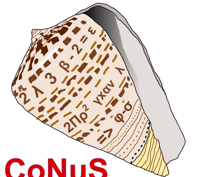 CoNuS: Concurrent Numerical Simulations