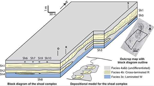 Impact of dynamic sedimentation on facies heterogeneities in Lower Cretaceous peritidal deposits of central east Oman