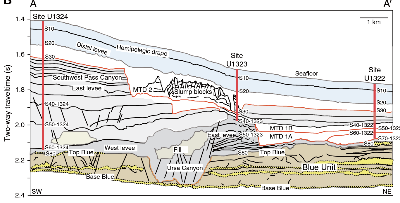 Rapid sedimentation, overpressure, and focused fluid flow, Gulf of Mexico continental margin