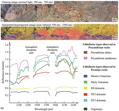 Ground-based hyperspectral imaging as a tool to identify different carbonate phases in natural cliffs